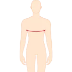 Chest Measurements